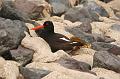 15_DP-2011-023 Bild0119c
